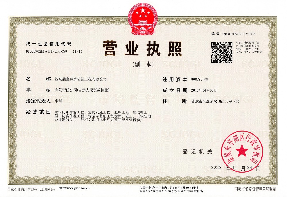 盐城鼎鑫营业执照